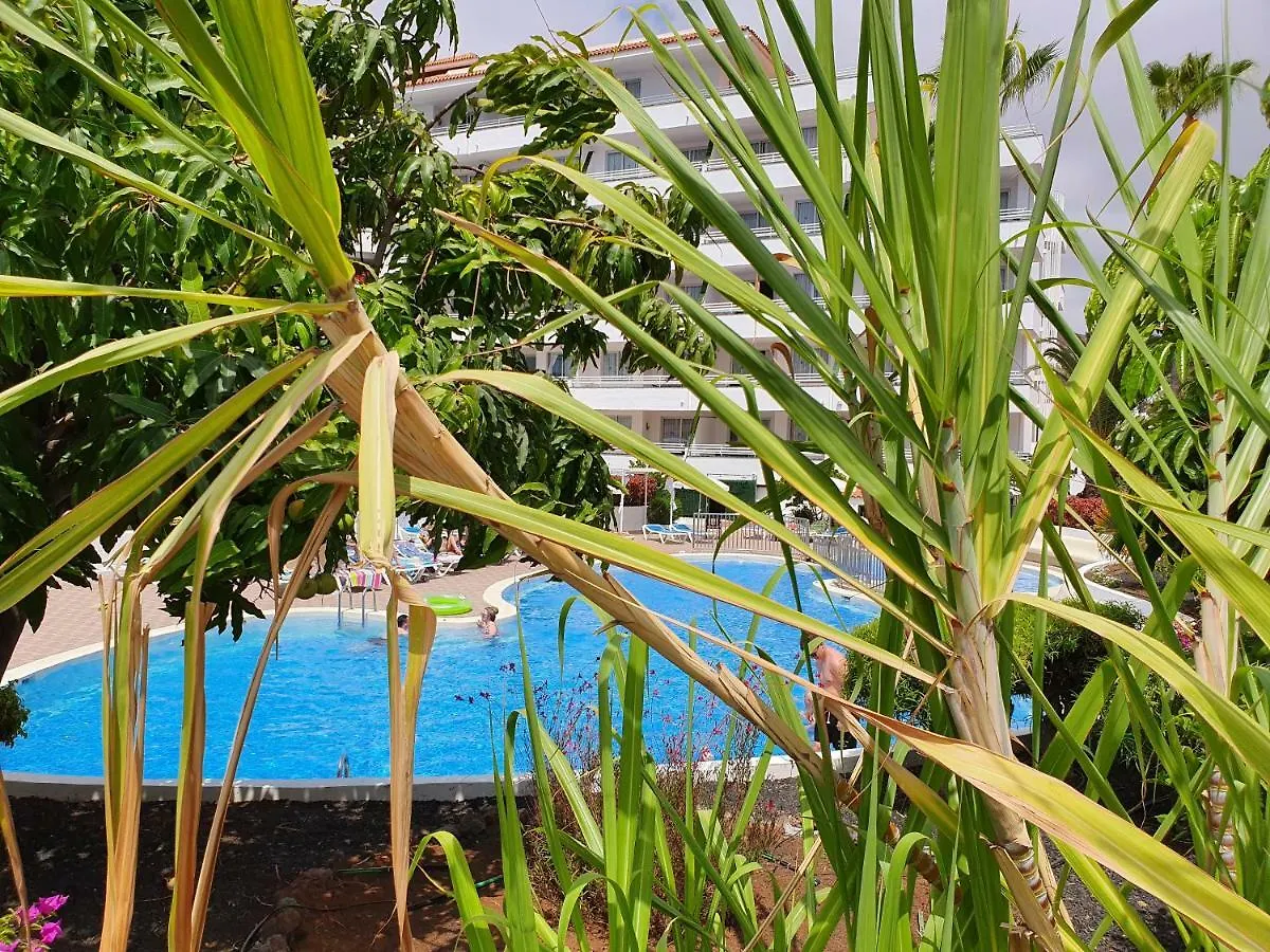Spectacular Renovated Apartment, 5 Min To Camison Beach, With Aircon Arona  Apartment Arona (Tenerife)