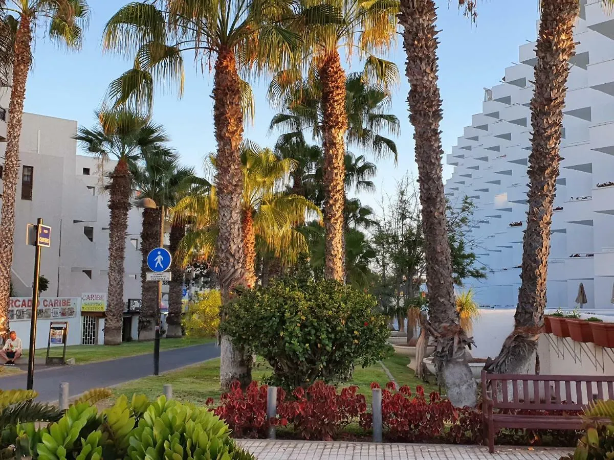 Spectacular Renovated Apartment, 5 Min To Camison Beach, With Aircon Arona  Apartment Arona (Tenerife)