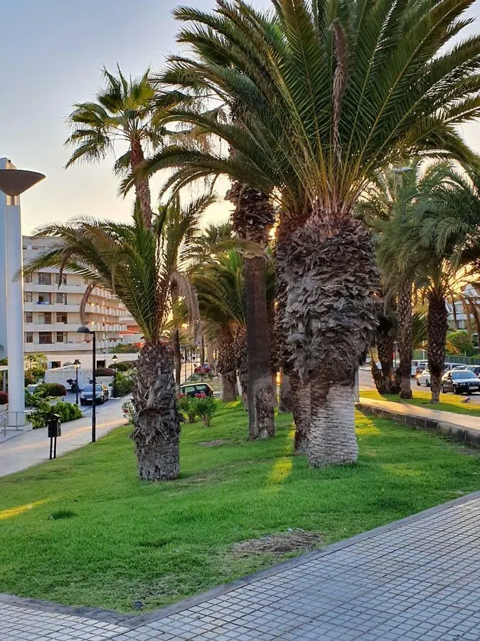 Spectacular Renovated Apartment, 5 Min To Camison Beach, With Aircon Arona  Arona (Tenerife)